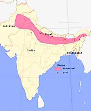 The Indo-Gangetic Plain